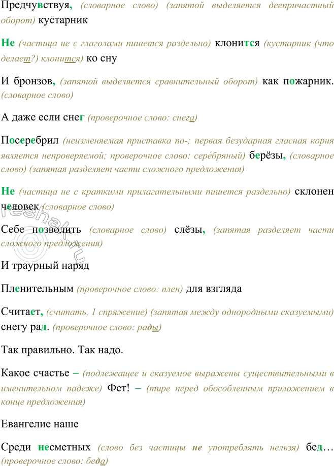 Дополнительное изображение